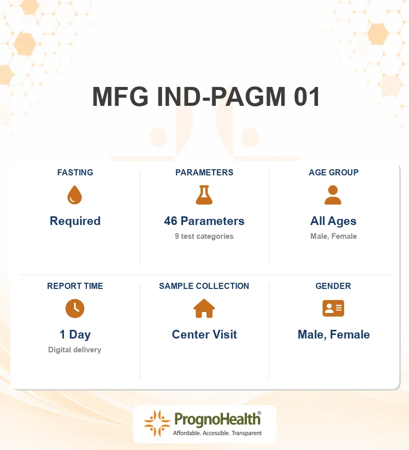 MFG IND-PAGM 01