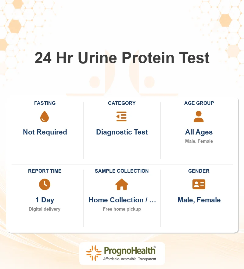 24 Hr Urine Protein Test