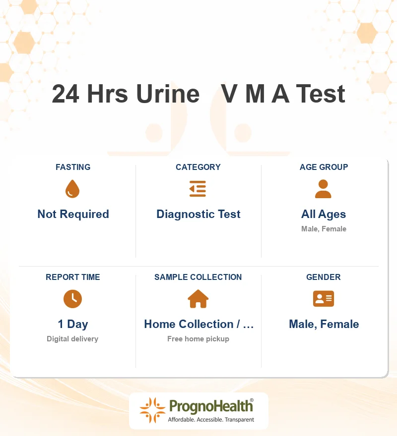 24 Hrs Urine   V M A Test