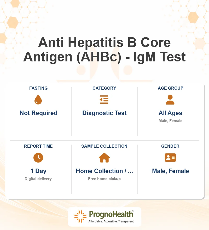 Anti Hepatitis B Core Antigen (AHBc) - IgM Test