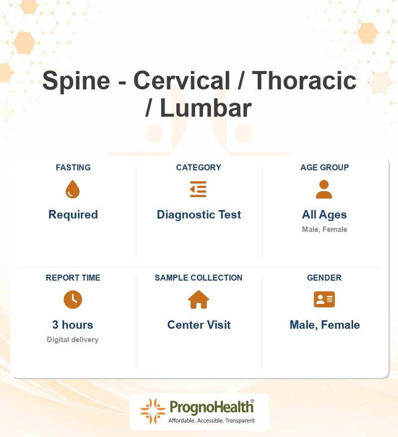 Spine - Cervical / Thoracic / Lumbar