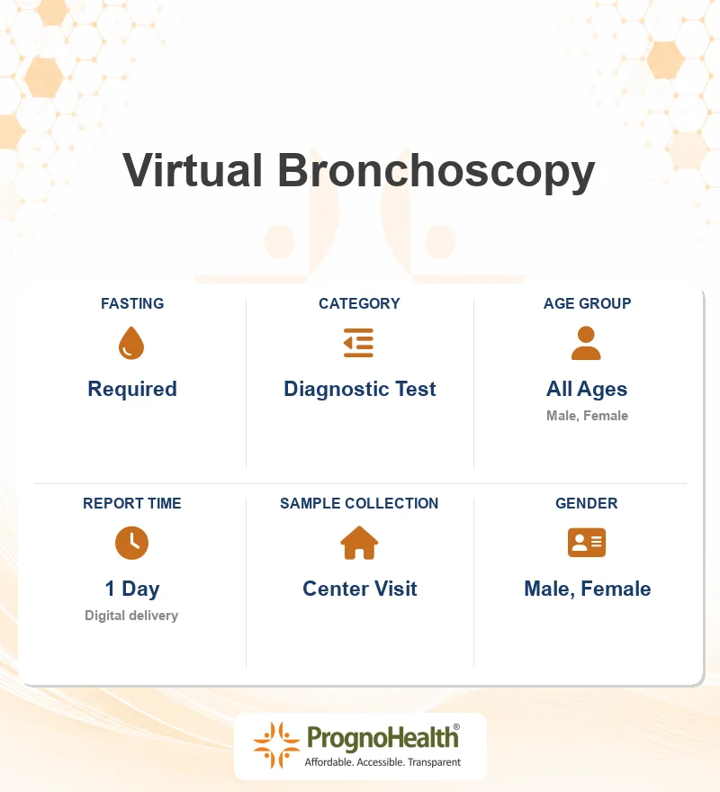 Virtual Bronchoscopy
