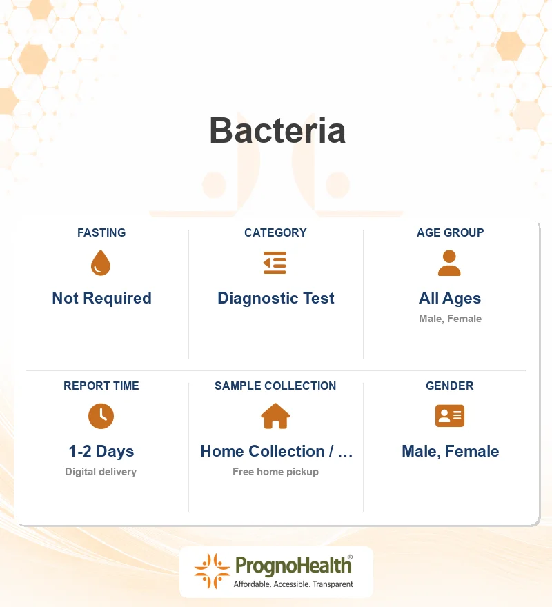 Bacteria