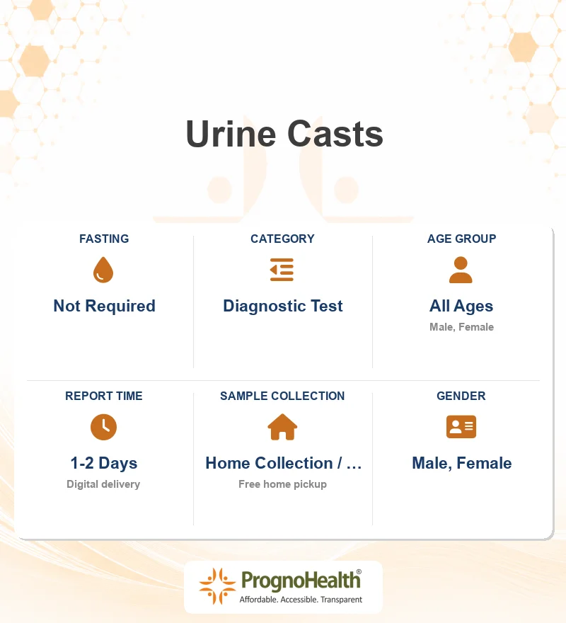 Urine Casts