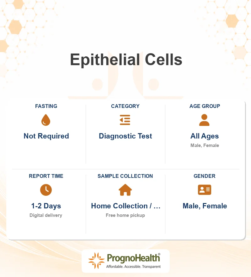 Epithelial Cells
