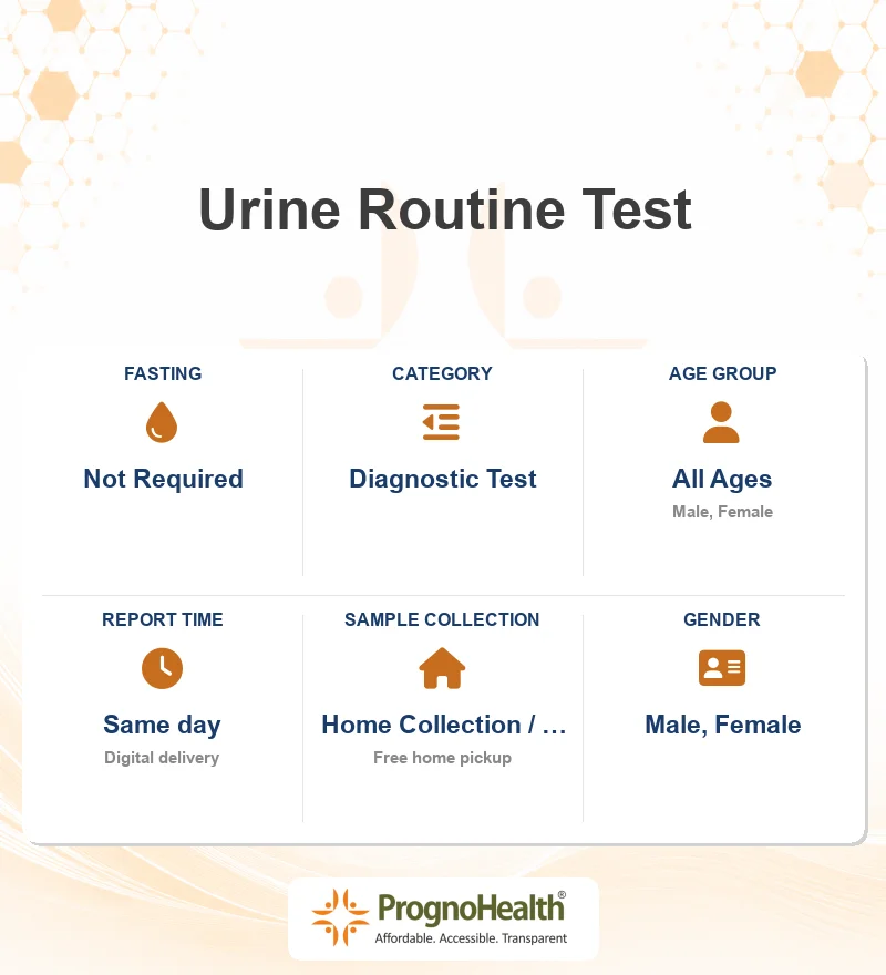 Urine Routine Test