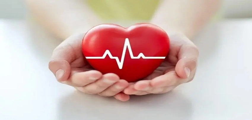 Your Heart Rate & Health . 