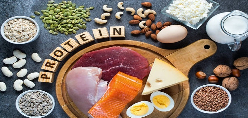 Protein Rich Food 