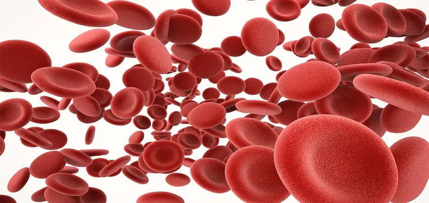 Iron deficiency anaemia