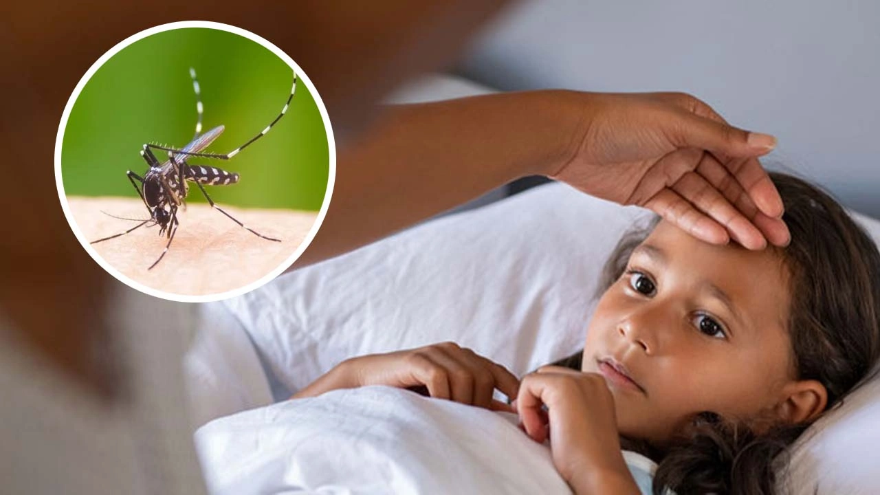 Beware of Dengue Fever