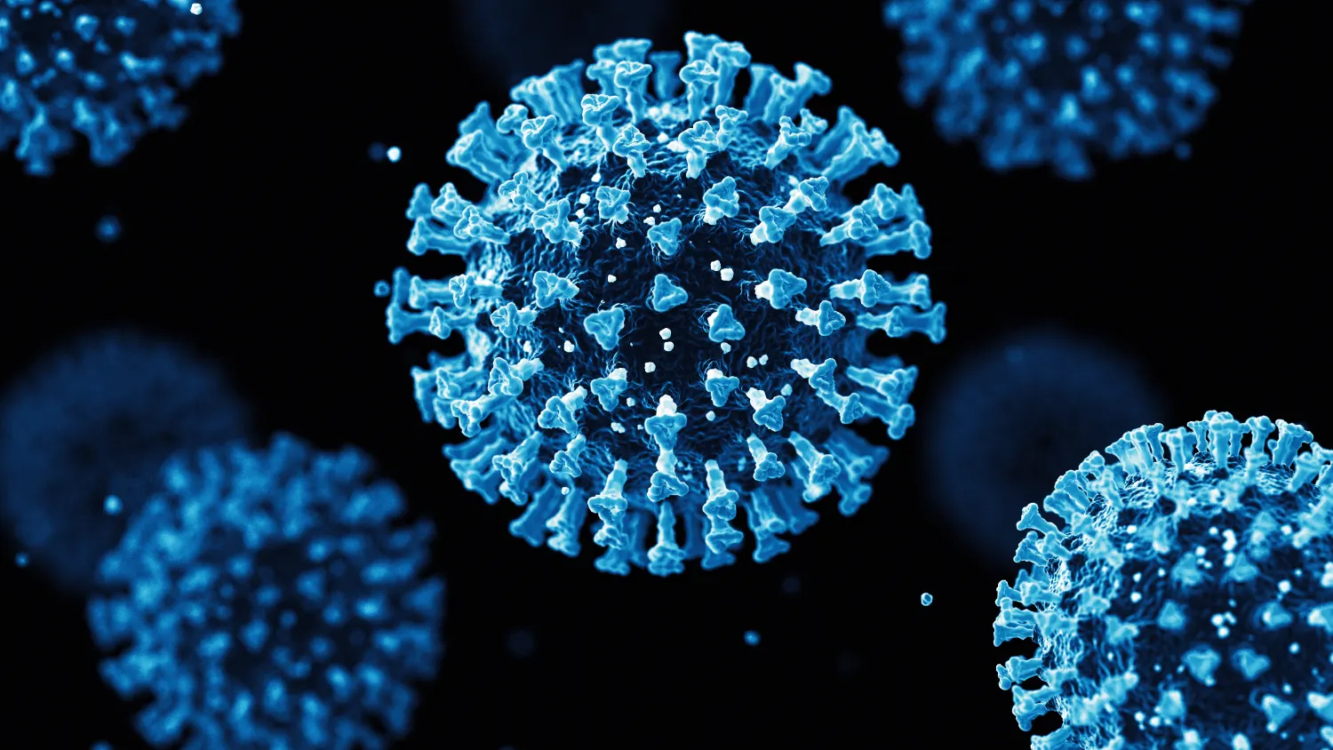 Corona Virus