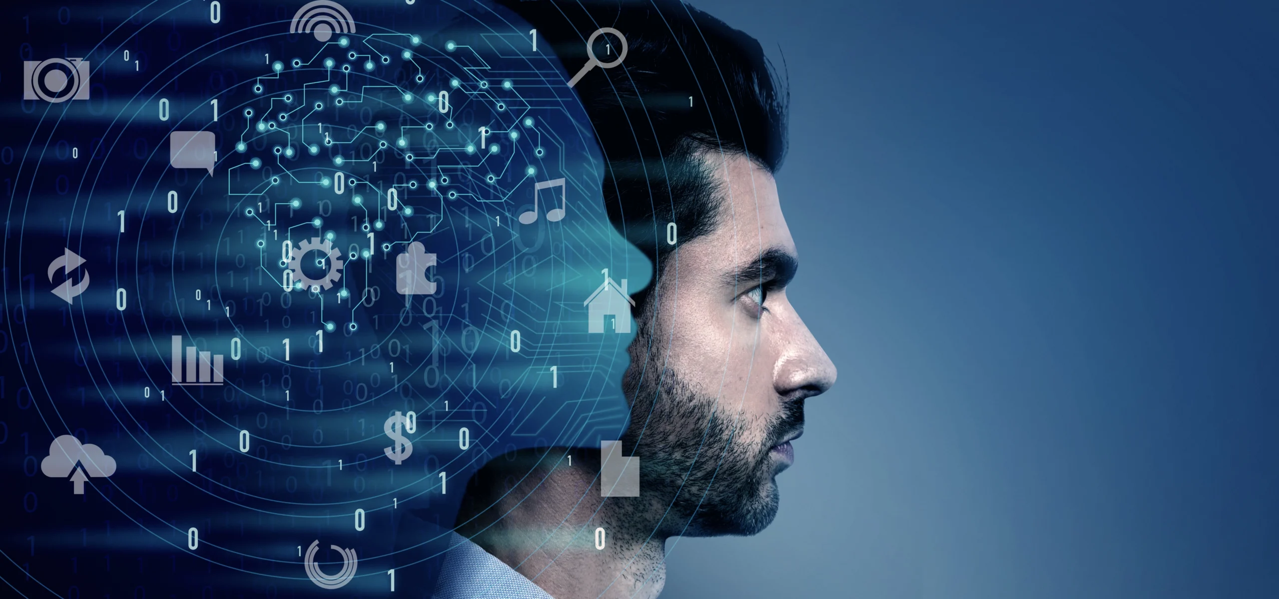 💡Intelligence & Success — Are They Really Linked?