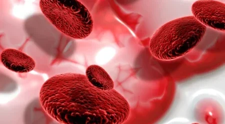 Blood Cancer: Types, Symptoms, Diagnosis, and Treatment