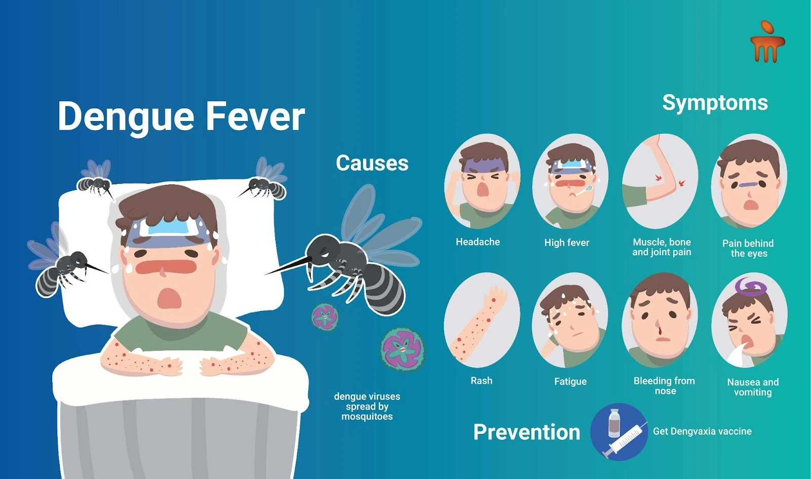 Dengue: Symptoms, Prevention, and Control Tips!
