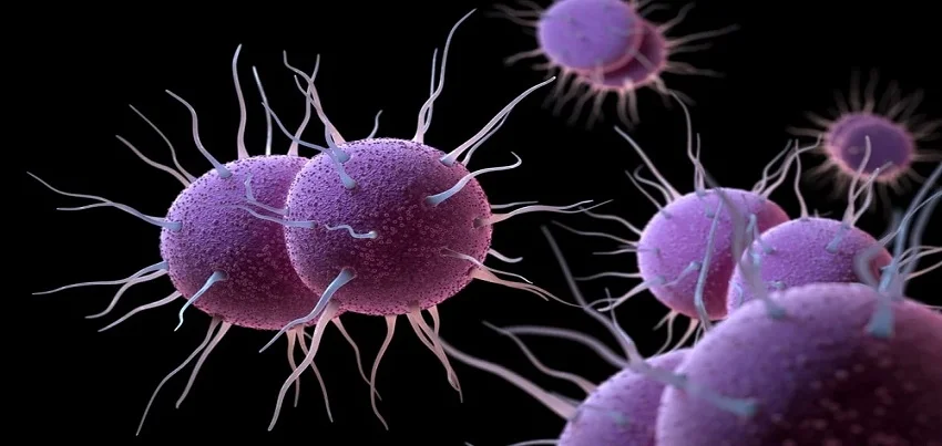 Gonorrhea