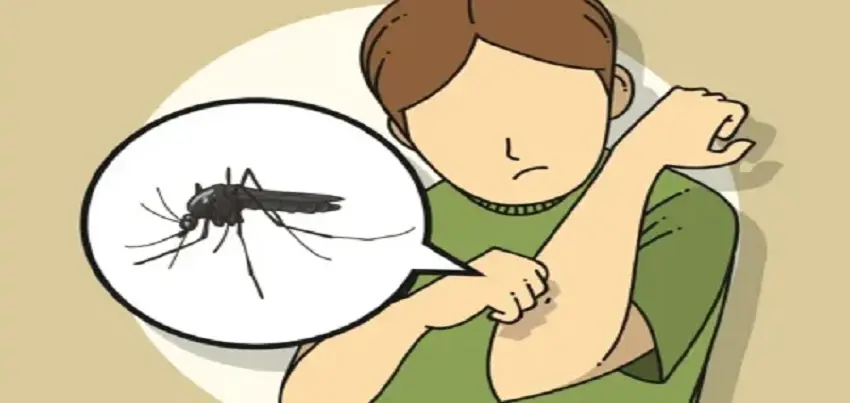 Japanese Encephalitis