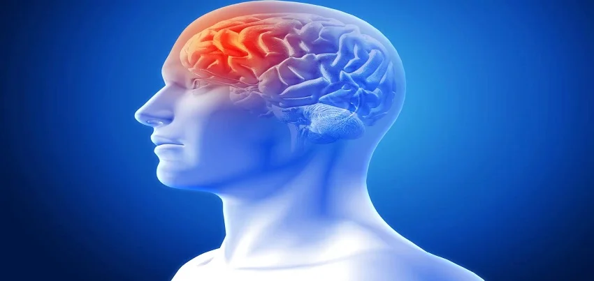 Acute Encephalitis Syndrome (AES)