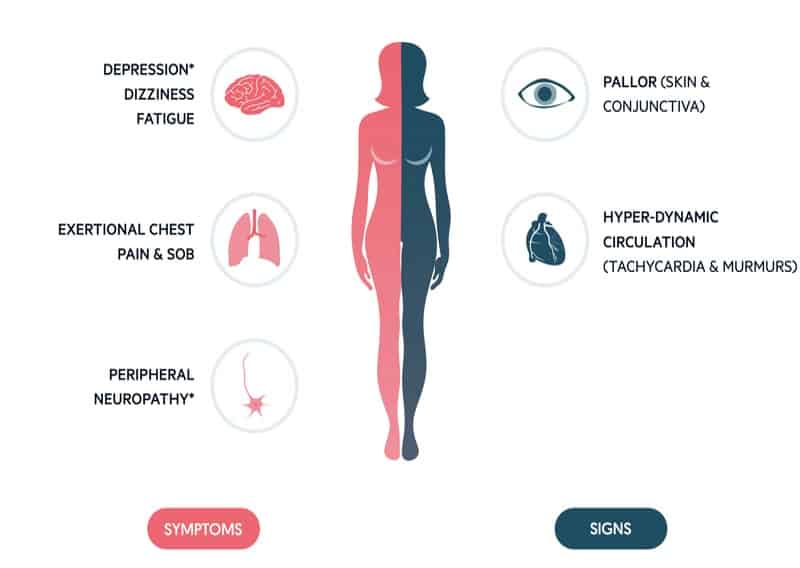 Vitamin Deficiency Anemia | Progno Health Solutions India Pvt ltd