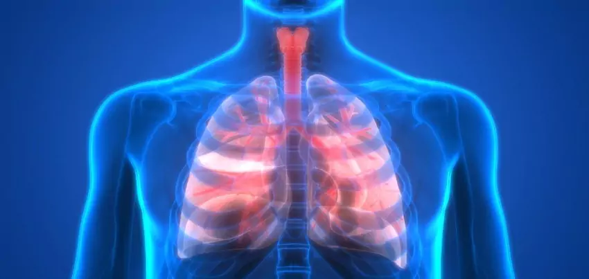 Chronic obstructive pulmonary disease (COPD)