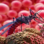 Malaria