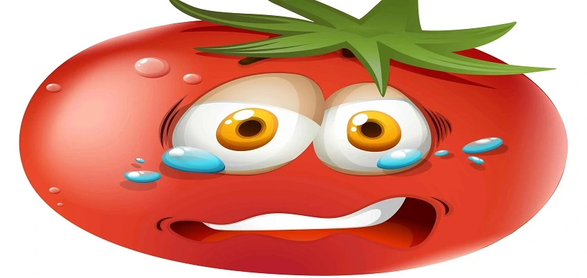 Tomato Allergy