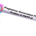 Pregnancy-associated plasma protein A (PAPP-A) Test