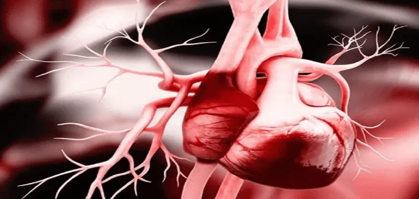 Troponin T Test