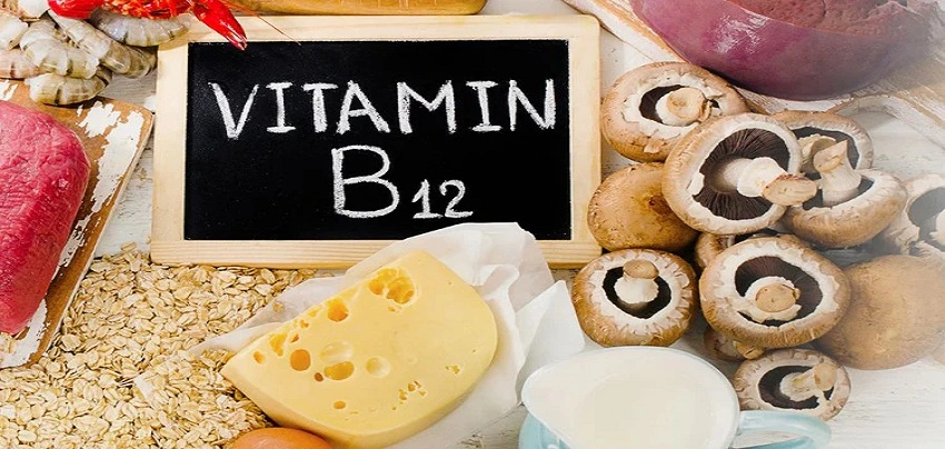 Vitamin B12-Rich Foods in Indian Diet