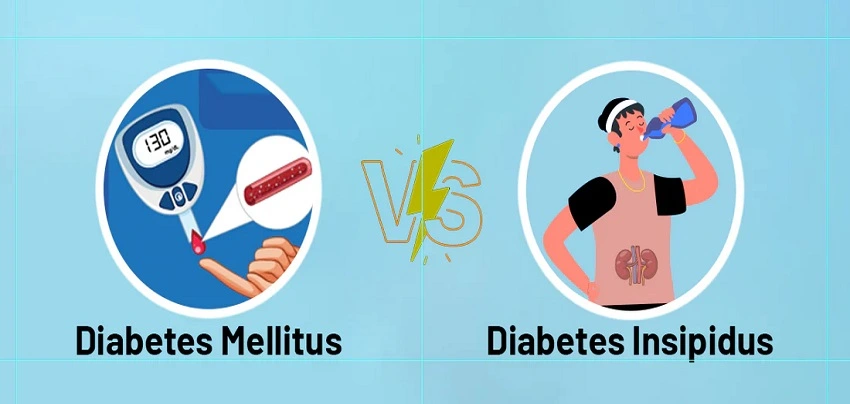 Difference between Diabetes Insipidus (DI) & Diabetes Mellitus (DM)