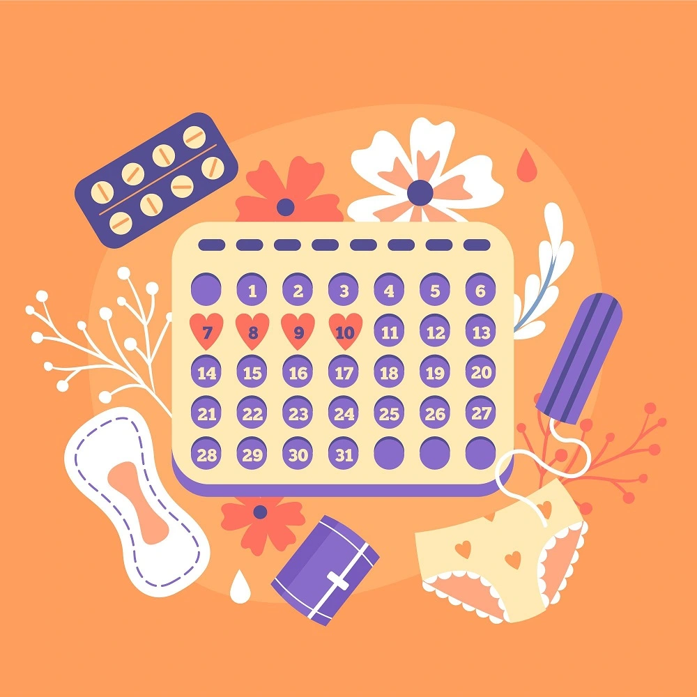 Ovulation Calculator