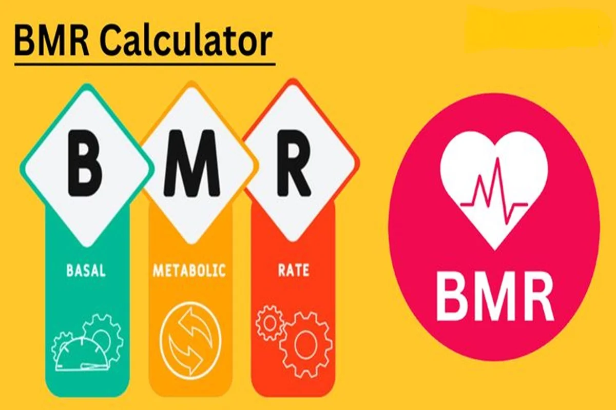 BMR Calculator: Calculate Your Basal Metabolic Rate Online | Accurate ...